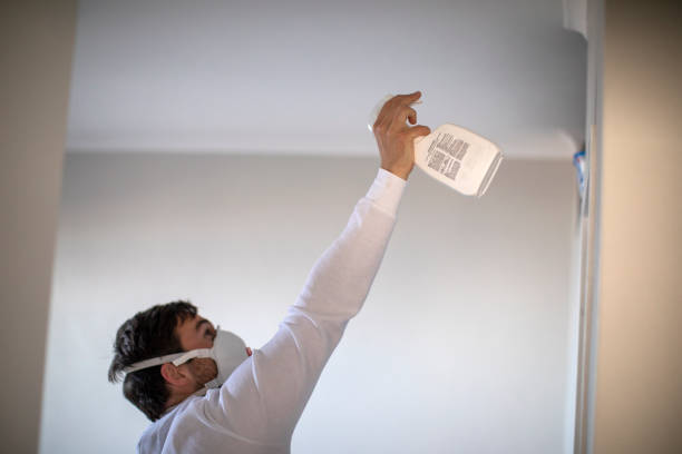 Certified Mold Removal in Tularosa, NM