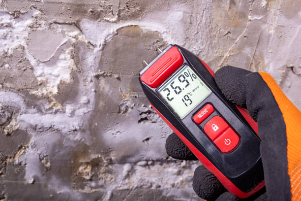 Tularosa, NM Mold Removal Company